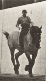 Plate 629 'Hansel' galloping, bareback — figure reference